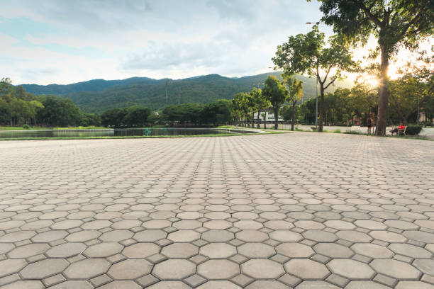 Best Residential Paver Driveway  in Larimore, ND